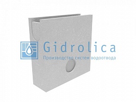     Gidrolica (-100),  50.16 (10).50(46) - BGU
