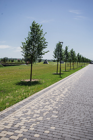 Тротуарная плитка Арбет Ривьера "Графит" 60мм